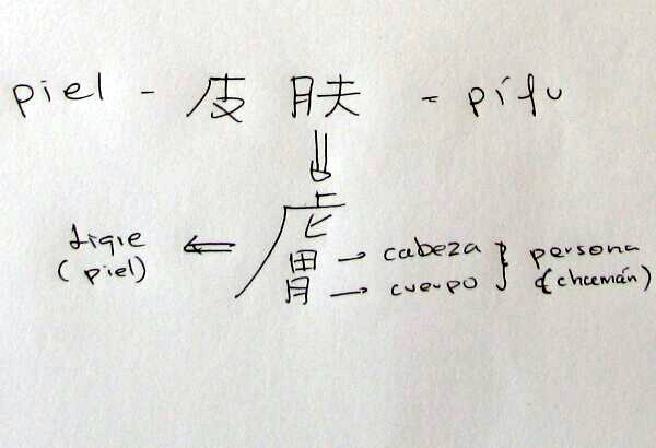 piel
